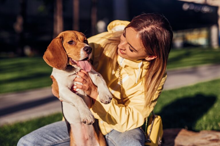 Como o Cachorro Diz que Ama?