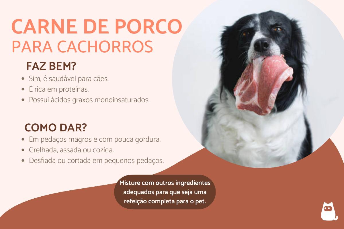 o-que-cachorro-pode-comer-de-carne